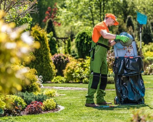 A Caucasian gardener working in the green garden and cleaning it from leaves and grass