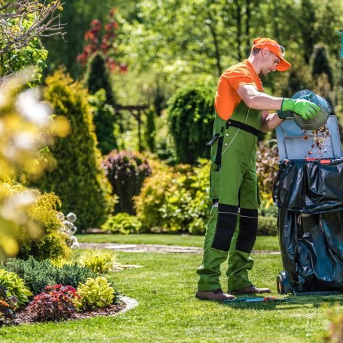 A Caucasian gardener working in the green garden and cleaning it from leaves and grass